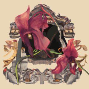 Debora Hirsch, Plant (Iris Atropurpurea), 2023, Inkjet print on paper,35x35 cm