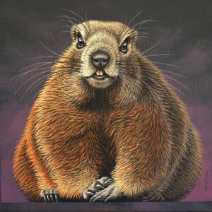 SaverioPolloni,Marmotta,AcrilicoOliosutela,cm35x35