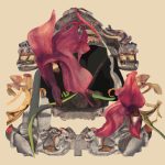 Debora Hirsch, Plant (Iris Atropurpurea), 2023, Inkjet print on paper,35x35 cm